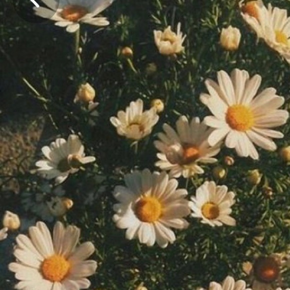 Meet your Posher, Jamie - Picture 1 of 1